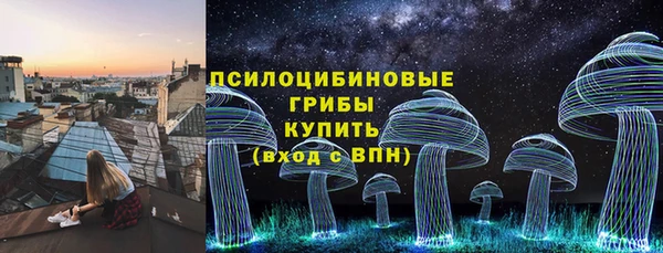 ПСИЛОЦИБИНОВЫЕ ГРИБЫ Горнозаводск